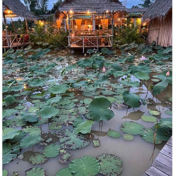 Meet your Posher, Uyen - Picture 1 of 1